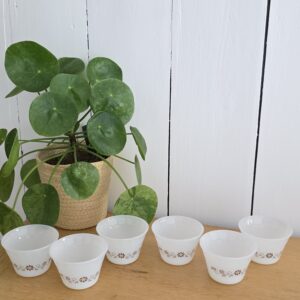 lot de 6 ramequins vintage dynaware en verre opalin décor floral brun