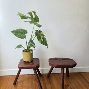 paire de tabourets de traite anciens en bois – tabourets rustiques vintage – tripode