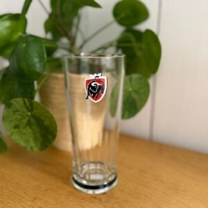 paire de verres jupiler 25 cl – verrerie de brasserie belge