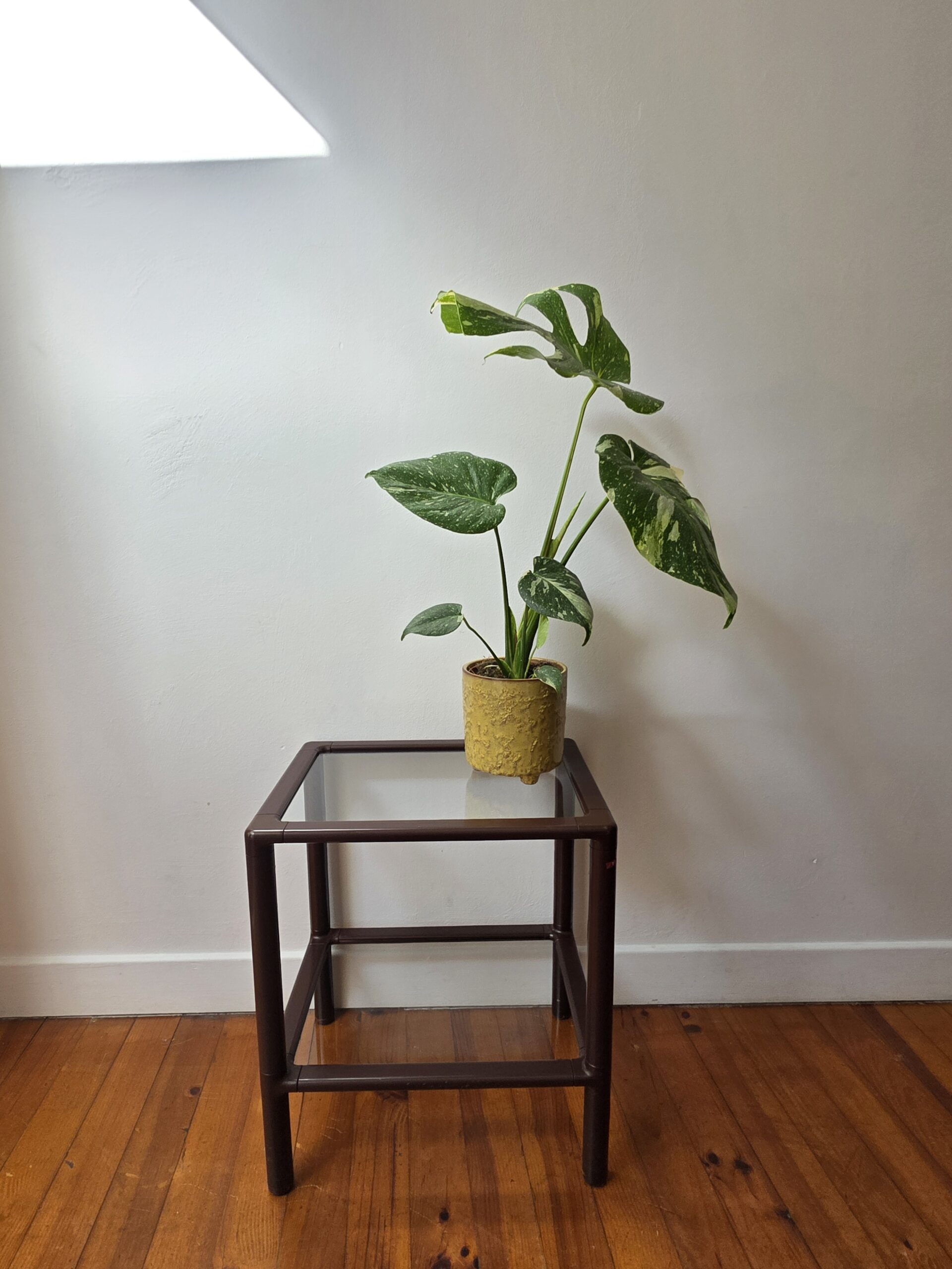 table d'appoint vintage en plastique brun et plateaux en verre – années 70