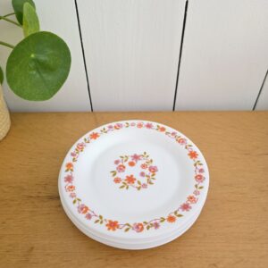 Lot de 6 assiettes Arcopal Scania
