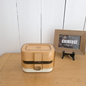 Balance Terraillon 4000 vintage – années 70