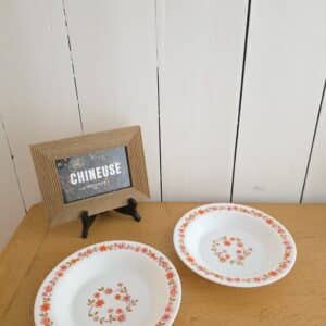 2 Assiettes Creuses Arcopal Scania Vintage – Années 70