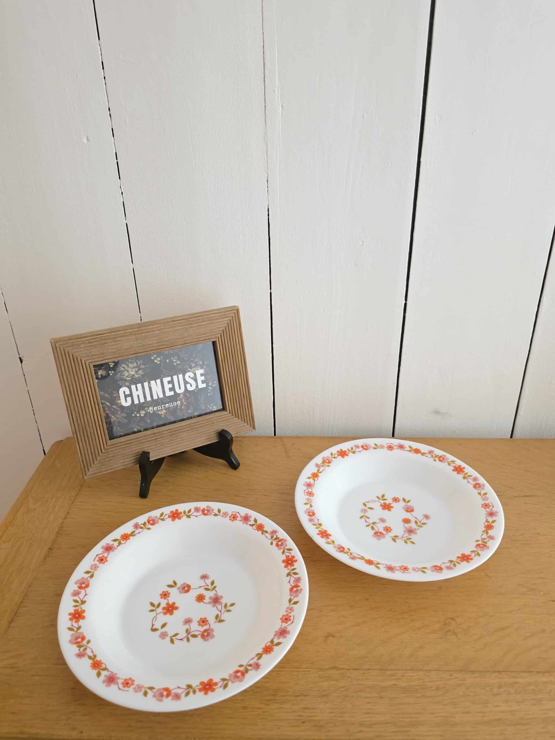 2 Assiettes Creuses Arcopal Scania Vintage – Années 70