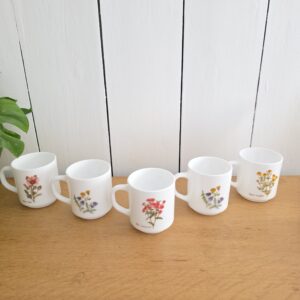 Lot de 5 Mugs Arcopal Botanique Vintage – Fleurs
